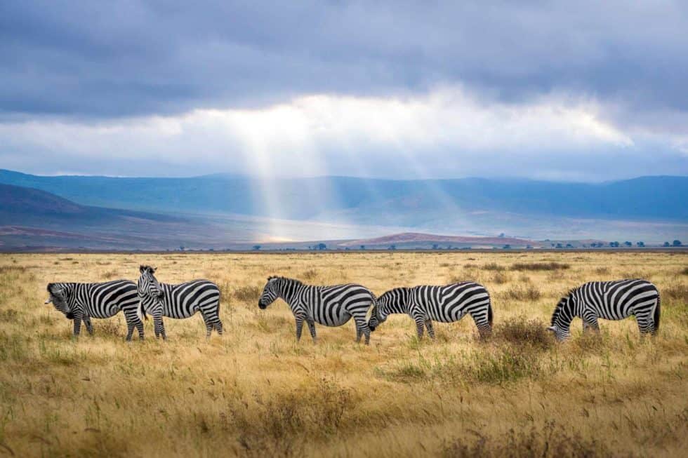 Südafrika Botswana Südafrika Botswana