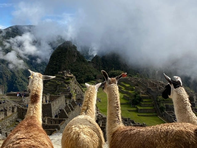 Unterwegs: Peru – mit dem Andenzug zum Weltkulturerbe Machu Picchu