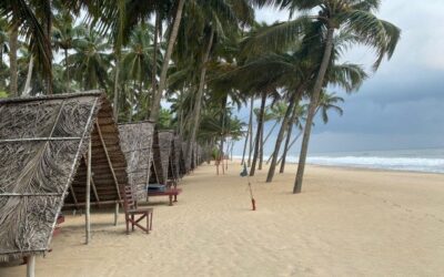 Reisebericht Gruppenreise Ayurveda – Kerala/Indien