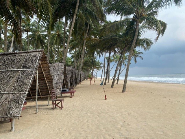 Reisebericht Gruppenreise Ayurveda – Kerala/Indien