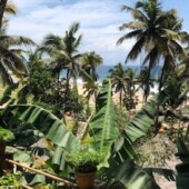 Traumreise am Strand von Indien
