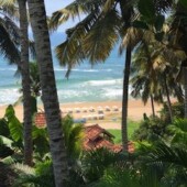 Traumreise am Strand von Indien