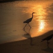 Traumreise am Strand von Indien
