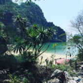 Ambiente Reisen in Vietnam